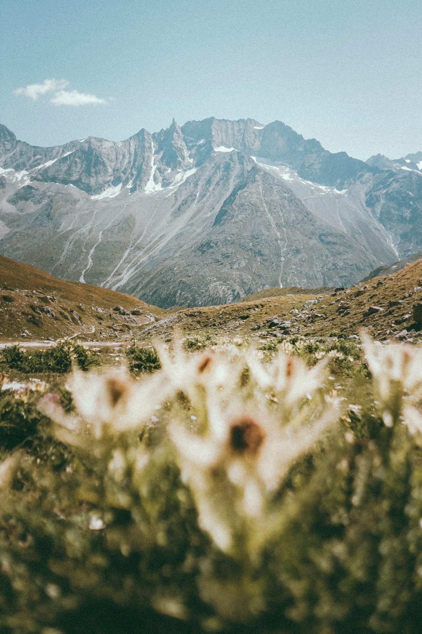Tecniche per fotografare la natura selvaggia